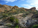 photo thumbnail #4