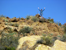 photo thumbnail #11