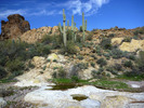photo thumbnail #12