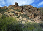 photo thumbnail #14