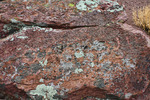 photo thumbnail #3