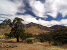 photo thumbnail #1