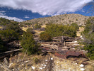 photo thumbnail #4