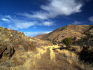 photo thumbnail #8