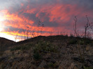 photo thumbnail #9