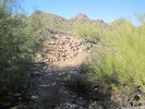 photo thumbnail #1