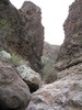 photo thumbnail #4