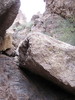 photo thumbnail #5