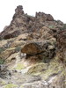photo thumbnail #11