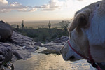 photo thumbnail #5
