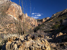 photo thumbnail #1