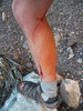 photo thumbnail #10