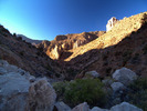 photo thumbnail #11
