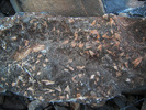 photo thumbnail #14