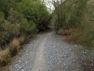 photo thumbnail #12