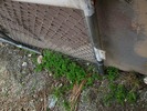 photo thumbnail #14