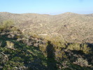photo thumbnail #3