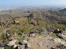 photo thumbnail #7