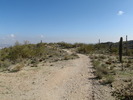 photo thumbnail #13