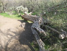 photo thumbnail #14