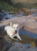 photo thumbnail #10