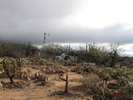 photo thumbnail #7