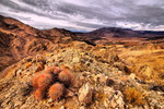 photo thumbnail #2