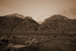 photo thumbnail #15