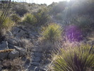 photo thumbnail #8