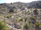 photo thumbnail #9