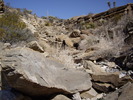 photo thumbnail #2