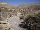 photo thumbnail #6