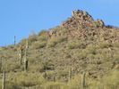 photo thumbnail #7