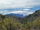 photo thumbnail #10