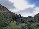 photo thumbnail #13