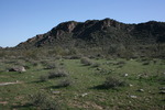 photo thumbnail #3