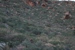 photo thumbnail #12