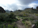 photo thumbnail #1