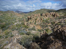 photo thumbnail #2
