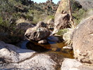 photo thumbnail #11