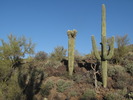 photo thumbnail #2