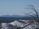 photo thumbnail #4