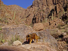 photo thumbnail #2