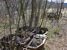 photo thumbnail #7