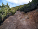 photo thumbnail #9