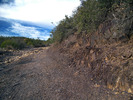 photo thumbnail #12