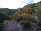 photo thumbnail #13