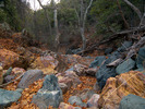 photo thumbnail #15