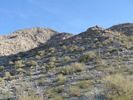 photo thumbnail #8