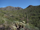 photo thumbnail #8
